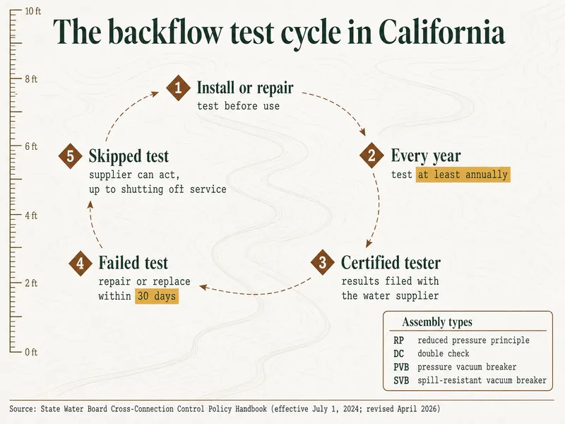 Survey chart titled The backflow test cycle in California, with five markers in a loop: 1, install or repair, test before use; 2, every year, test at least annually; 3, certified tester, results filed with the water supplier; 4, failed test, repair or replace within 30 days; 5, skipped test, supplier can act, up to shutting off service. Key of assembly types: RP reduced pressure principle; DC double check; PVB pressure vacuum breaker; SVB spill-resistant vacuum breaker. Source: State Water Board Cross-Connection Control Policy Handbook (effective July 1, 2024; revised April 2026)