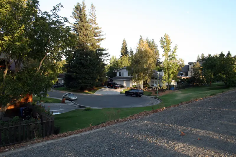 Curving Sacramento cul-de-sac with parked cars, wide lawns and tall pines and shade trees in late-afternoon light